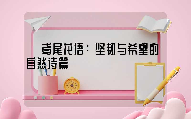  鸢尾花语：坚韧与希望的自然诗篇